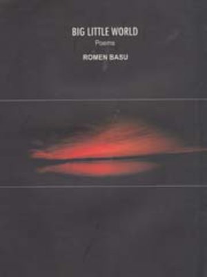cover image of Big Little World